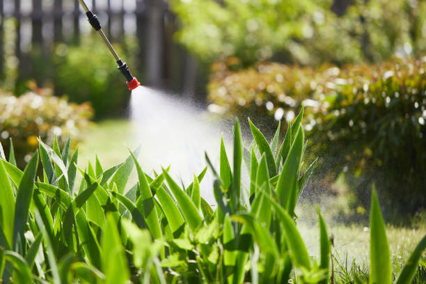Tamper-Resistant Bait Stations for Rodents in Covington