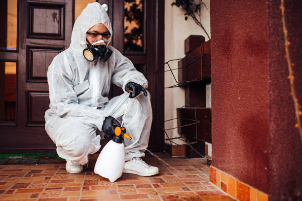 Attic and Crawl Space Rodent Treatment in Covington